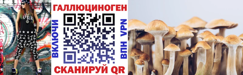 Псилоцибиновые грибы прущие грибы  Купить где  Щучье 